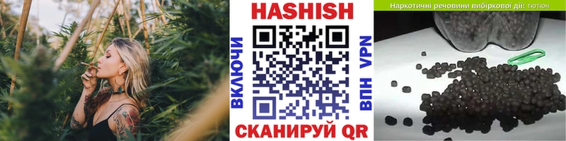 Купить где  Борзя  Гашиш VHQ 