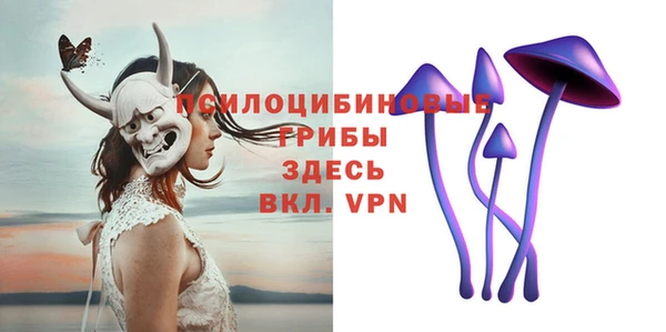 гидропоника Зеленодольск