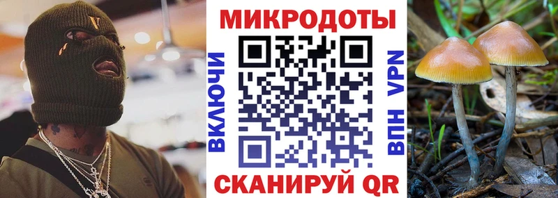 Купить закладки Борзя Псилоцибиновые грибы Psilocybe